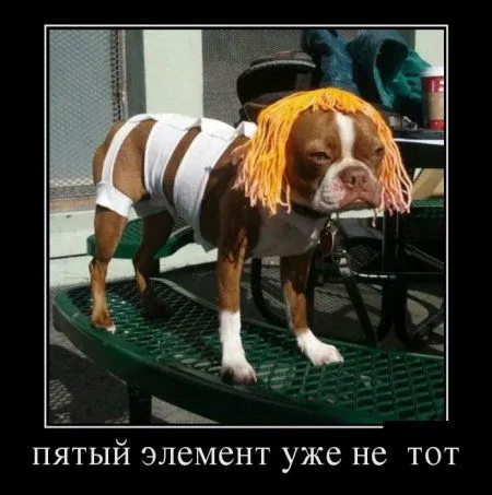 Маленький пост, для любителей черных рамок