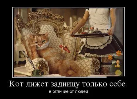 Маленький пост, для любителей черных рамок