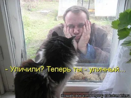 Понедельник не страшен с котомашками. две страницы