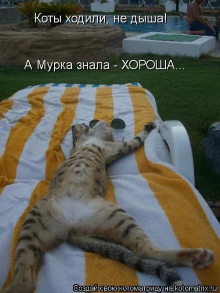 Понедельник не страшен с котомашками. две страницы