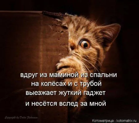 Понедельник не страшен с котомашками. две страницы