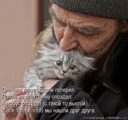 Понедельник не страшен с котомашками. две страницы