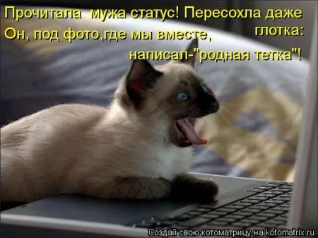 Понедельник не страшен с котомашками. две страницы