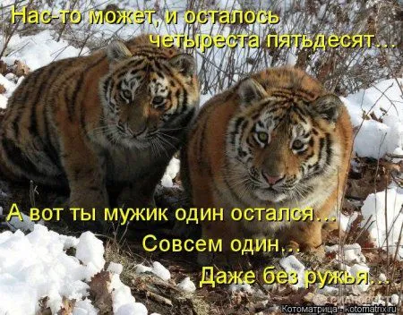 Понедельник не страшен с котомашками. две страницы