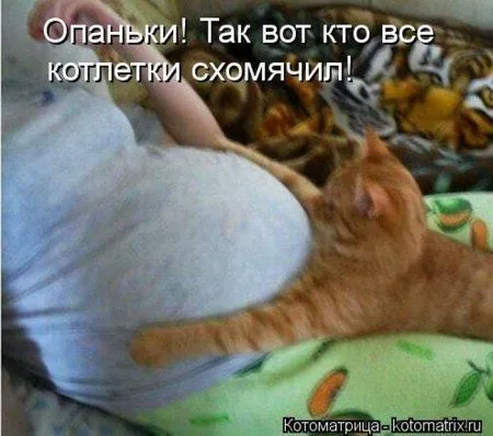 Понедельник не страшен с котомашками. две страницы