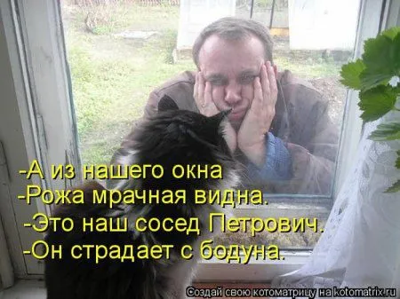 Понедельник не страшен с котомашками. две страницы