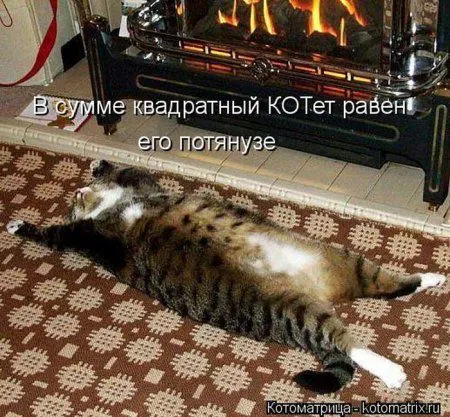 Понедельник не страшен с котомашками. две страницы