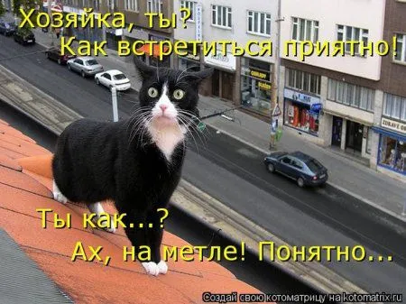 Понедельник не страшен с котомашками. две страницы