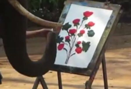 Слон рисует хоботом картину