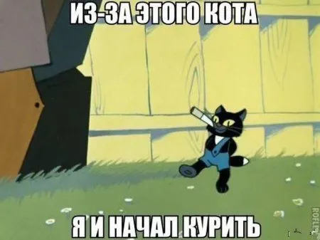Приколы на фото, весёлая карусель