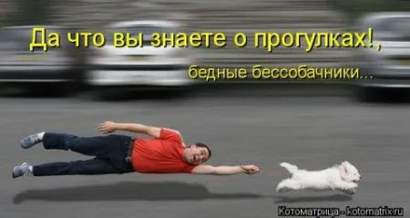 Собакоматрица, свежая подборка