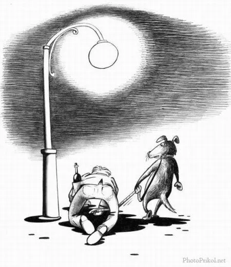 Карикатуры на четверг