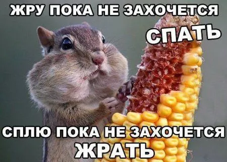 Фото приколы, пусть все смотрят