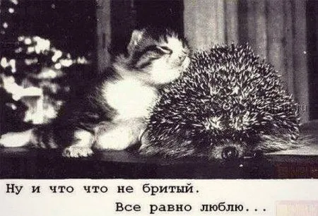Сегодня праздник, а завтра пятница Сегодня праздник, а завтра пятница