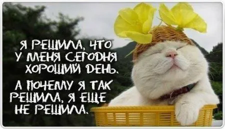 Сегодня праздник, а завтра пятница Сегодня праздник, а завтра пятница