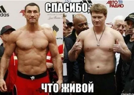 Фотожабы про бой Кличко - Поветкин