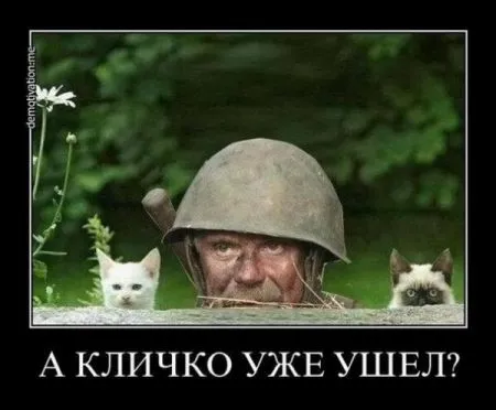Фотожабы про бой Кличко - Поветкин