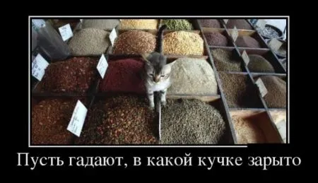 Демотиваторы подборка 30 штук