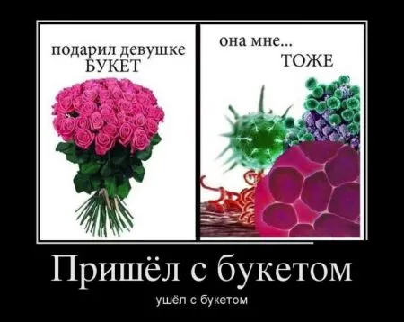 Демотиваторы подборка 30 штук