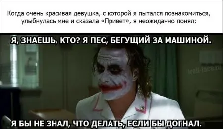 Фотоподборка фото приколов в двух страницах
