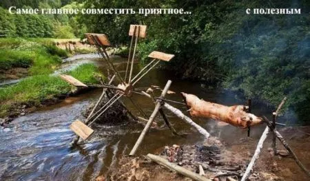 Фотоподборка фото приколов в двух страницах