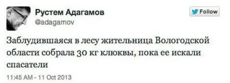 Фотоподборка фото приколов в двух страницах
