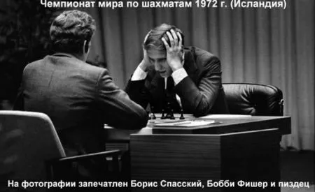 Фотоподборка фото приколов в двух страницах