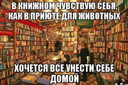 Фотоподборка фото приколов в двух страницах