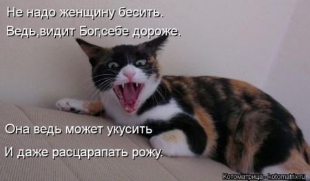 Котоматрицы опять свежие