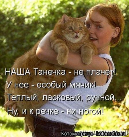 Котоматрицы опять свежие