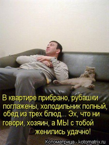 Котоматрицы опять свежие