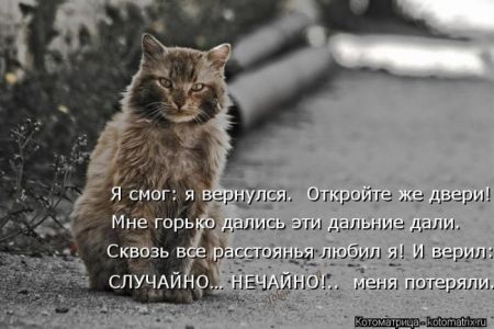 Котоматрицы опять свежие