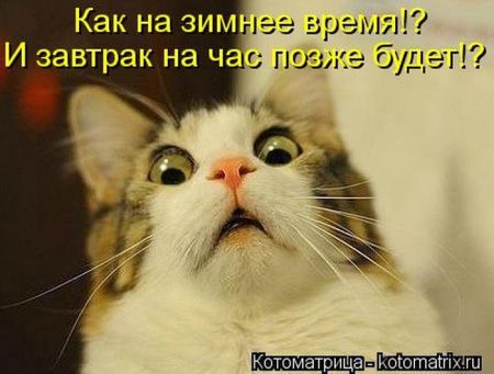 Котоматрицы опять свежие