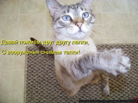 Котоматрицы опять свежие