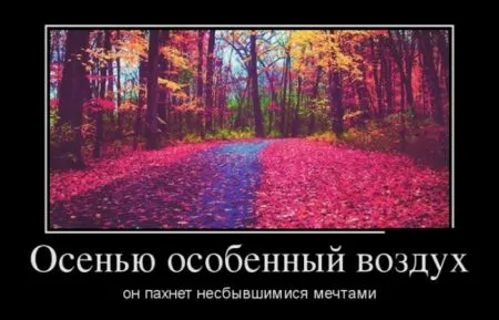 Подборка демотиваторов