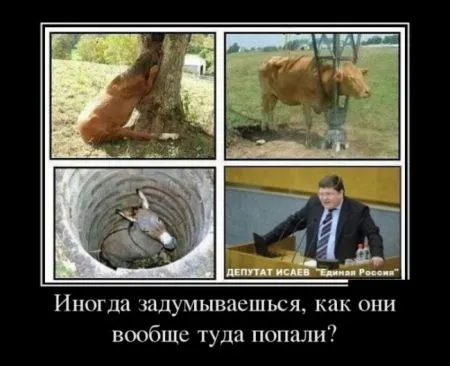 Подборка демотиваторов