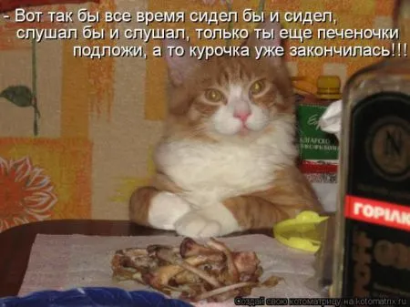 Котоматрица 50 штучек
