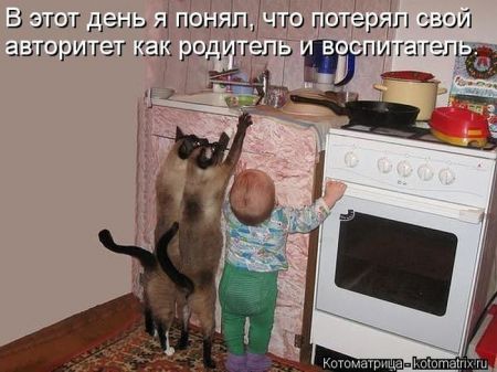 Котоматрица 50 штучек