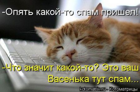 Котоматрица 50 штучек