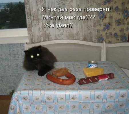 Котоматрица 50 штучек