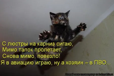 Котоматрица 50 штучек