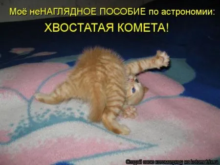 Котоматрица 50 штучек