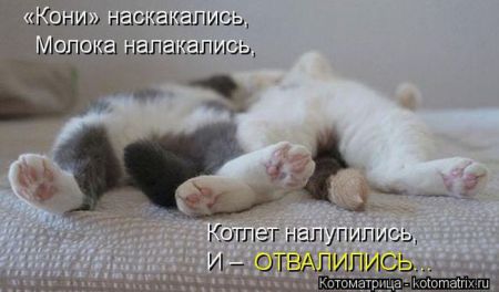 Котоматрица 50 штучек