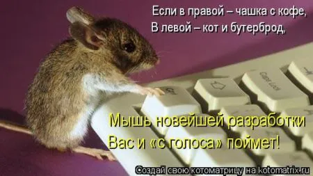 Котоматрица 50 штучек