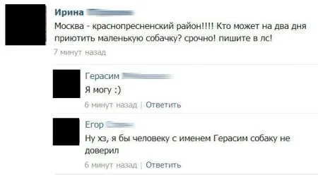 Прикольных картинок выпуск в двух страницах
