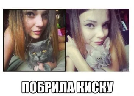 Прикольных картинок выпуск в двух страницах