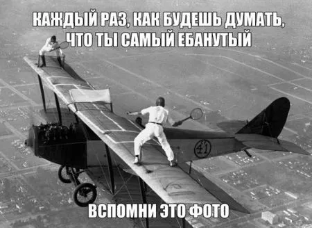 Прикольных картинок выпуск в двух страницах