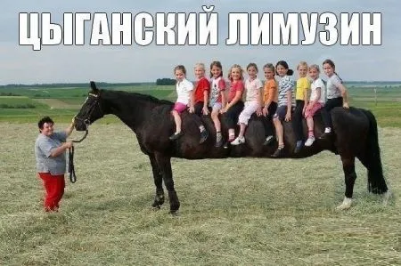 Прикольных картинок выпуск в двух страницах