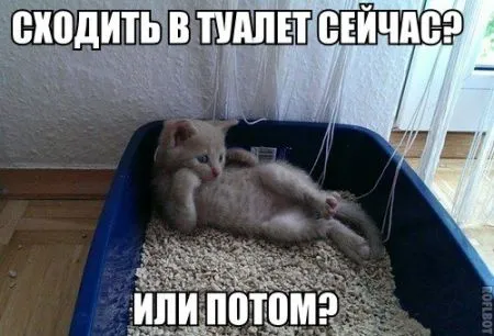 Прикольных картинок выпуск в двух страницах