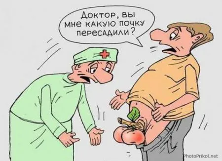 Карикатур веселая подборка
